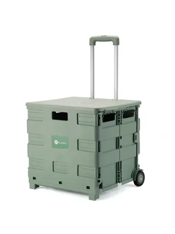 Boodschappenkrat - 50L - Met Deksel