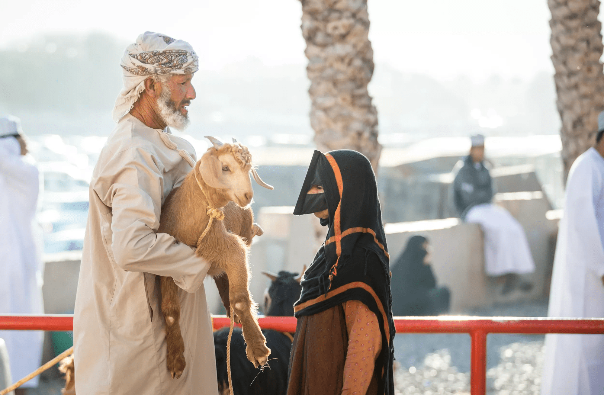 8-daagse privérondreis Hoogtepunten van Oman met huurauto