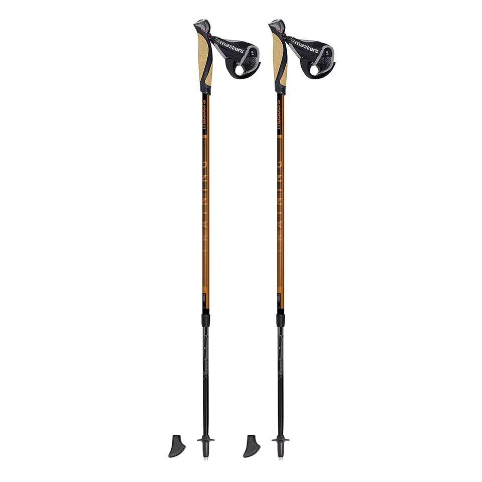 Masters Training  Nordic Walking stokken  BRONS main product image