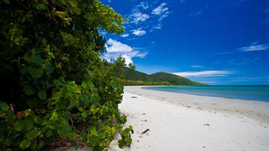 australie_queensland_daintree-national-park_cape-tribulation_strand_tropisch-bos_b