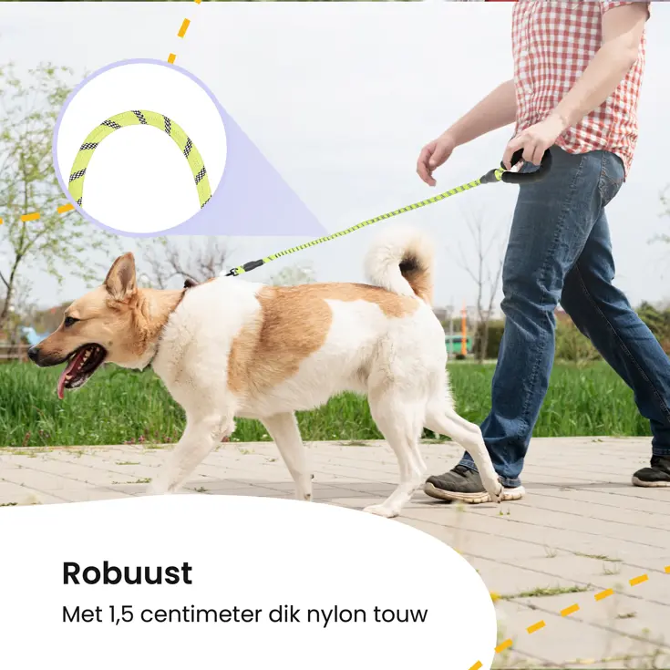 Reflecterende Hondenriem 3m