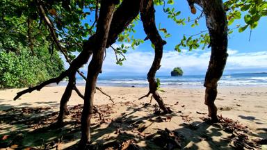 costa rica_cahuita_strand_algemeen_f