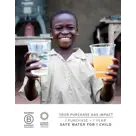 Lifestraw Go 2.0 - Waterfles 1L