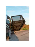 MG 5 (EV) SW 2020 - Zonneschermen - Car Shades