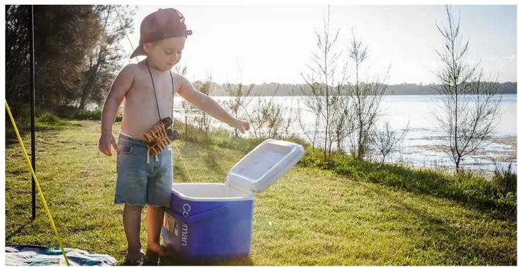 16QT Performance Tricolor Koelbox 15l