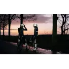 Strato Helm Reflection L/XL