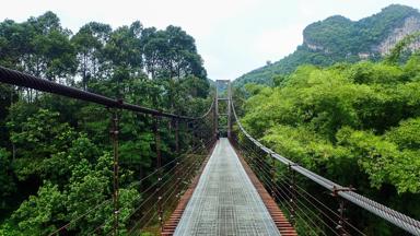 thailand_zuid-thailand_surat-thani_khao-sok-nationaal-park_hangbrug_w.jpg