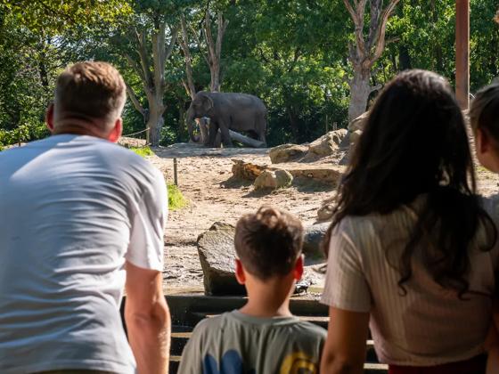 Impressie van Diergaarde Blijdorp