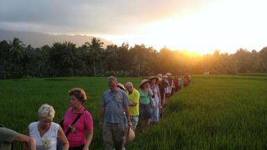 indonesie_java_kalibaru_cacao_koffieplantage_tour_zon_w