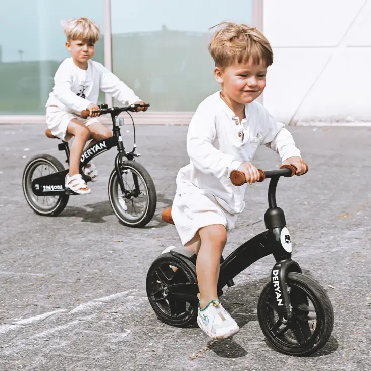Luxe Loopfiets 10 inch - Kinderfiets - 2-4 jaar