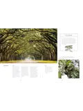 The Tree Atlas