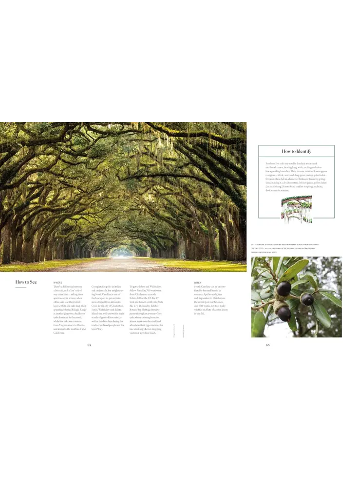 The Tree Atlas