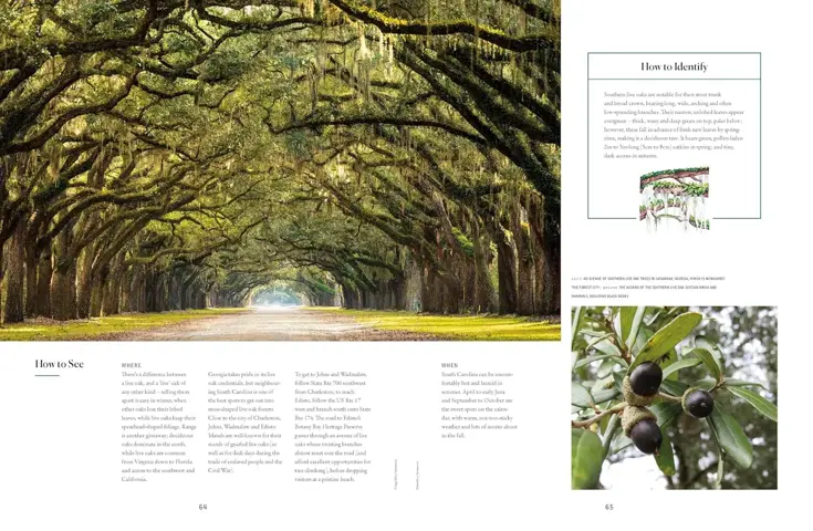 The Tree Atlas