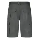 Cedrons - Bermuda heren - Human Nature