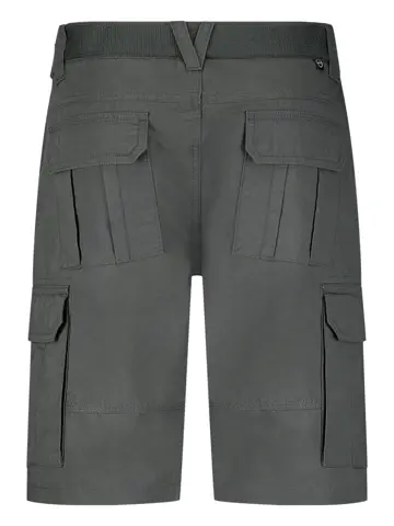 Cedrons - Bermuda heren - Human Nature