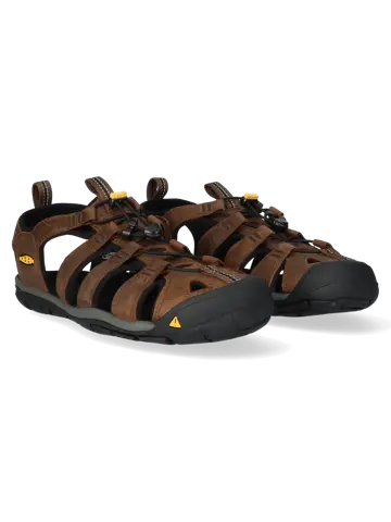 Clearwater - Wandelschoenen - Heren