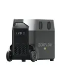 Ecoflow Portable Power Station Delta Pro