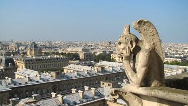 frankrijk_parijs_notre-dame_waterspuwer_uitzicht_2_shutterstock_24200452_