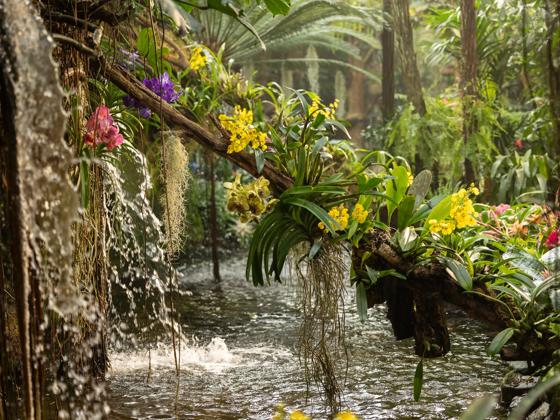 Impressie van Pantropica