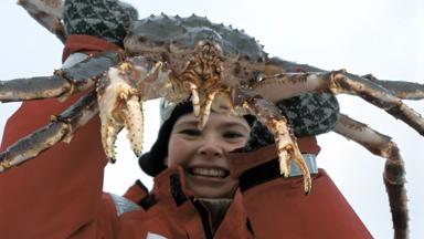 noorwegen_noord-noorwegen_kirkenes-king-crab-safari_jTerje-Rakke-Nordic-Life_www.nordnorge.com