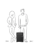 Lite Soft 2 Wheel Cabin Trolley  | 42 L