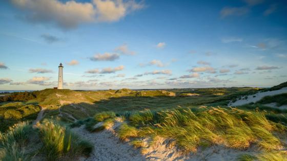 denemarken_jutland_ringkobing_lynvig-vuurtoren_duin_panorama_zee_strand_hvinde-sande_shutterstock