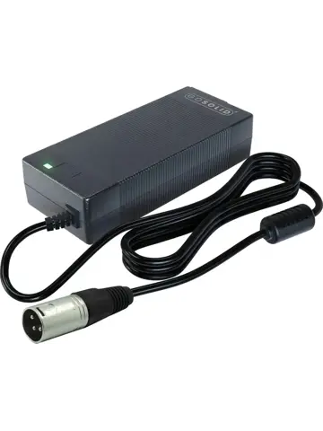 GS Lader geschikt voor E bike 42V3A