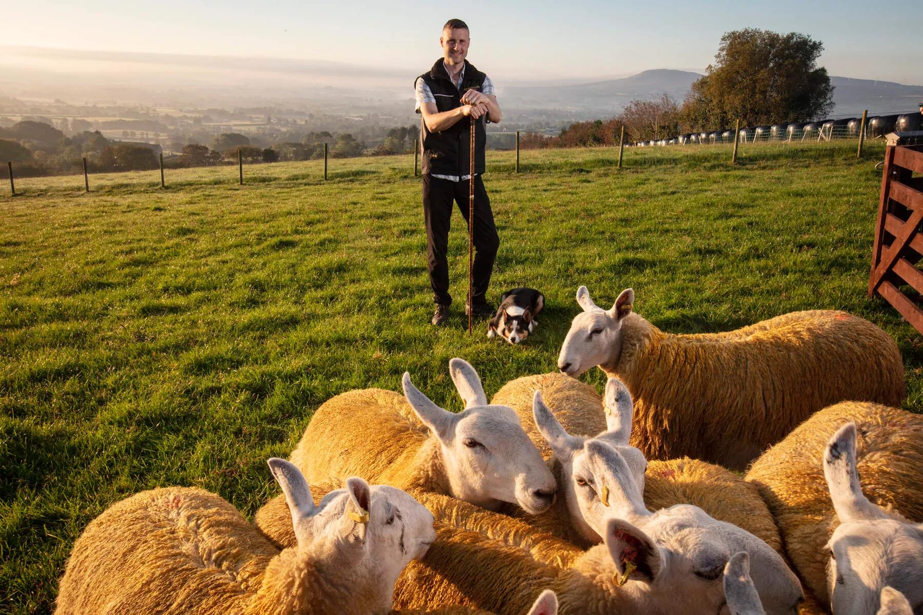 Sheepdog herding at Glenshane Country Farm - Embrace a Giant Spirt