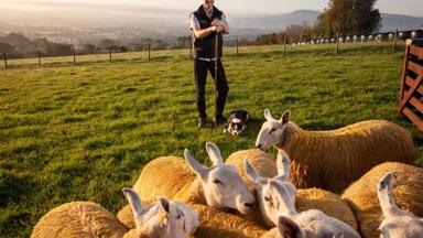 Sheepdog herding at Glenshane Country Farm - Embrace a Giant Spirt