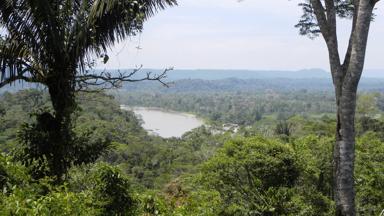 ecuador_tena_jungle_landschap_w