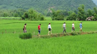 vietnam_mai-chau_rijstveld_wandelen_reiziger_a.jpg