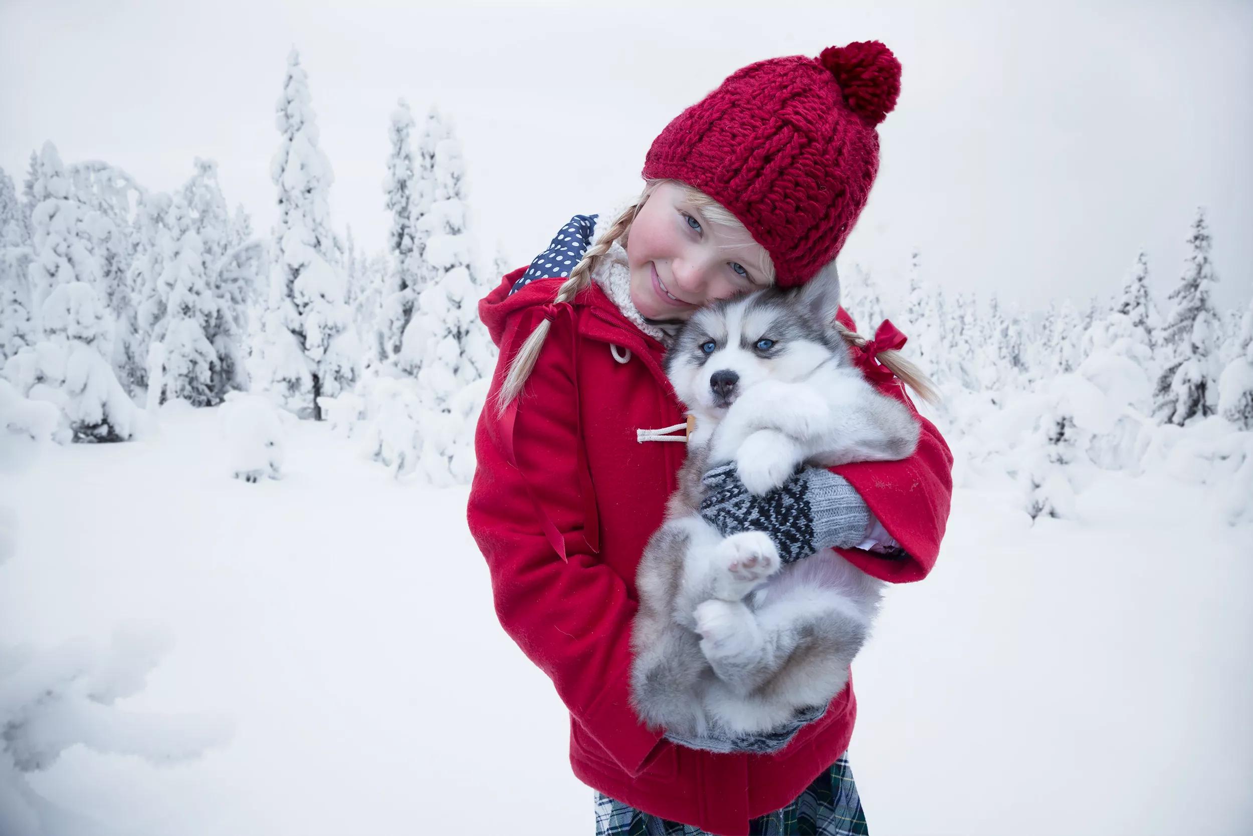 A girl dressed in red with a husky puppy standing in a winter wonderland.