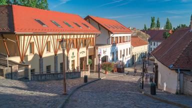 hongarije_heves_eger_burcht_straat_huizen_centrum_pixabay