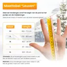 R2B Verwarmde Handschoenen oplaadbaar