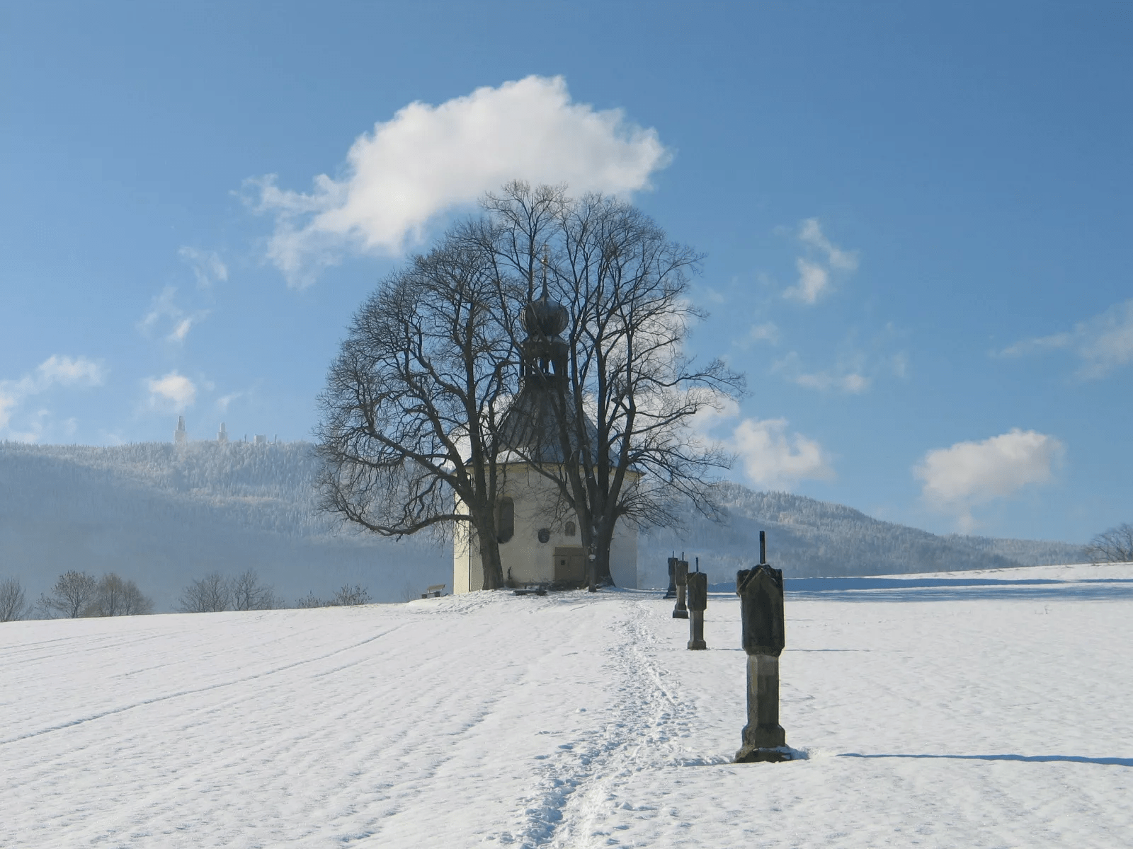 8-daagse wintersport Beieren - Burghotel am Hohen Bogen - 