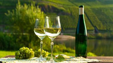 Famous German quality white wine riesling, produced in Mosel wine regio from white grapes growing on slopes of hills in Mosel river valley in Germany, bottle and glasses served outside in Mosel valley