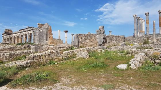 marokko_fez-meknes_volubilis_ruine_overzicht_eigen-materiaal.jpg 