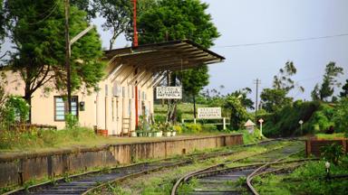 sri lanka_nuwara eliya_trein_theeplantage_f