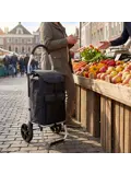 Boodschappenwagen 40L inklapbaar