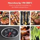 KitchenBrothers Elektrische BBQ – 2400W