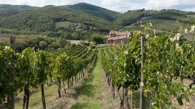 italie_toscane_chianti_wijngaard_heuvels