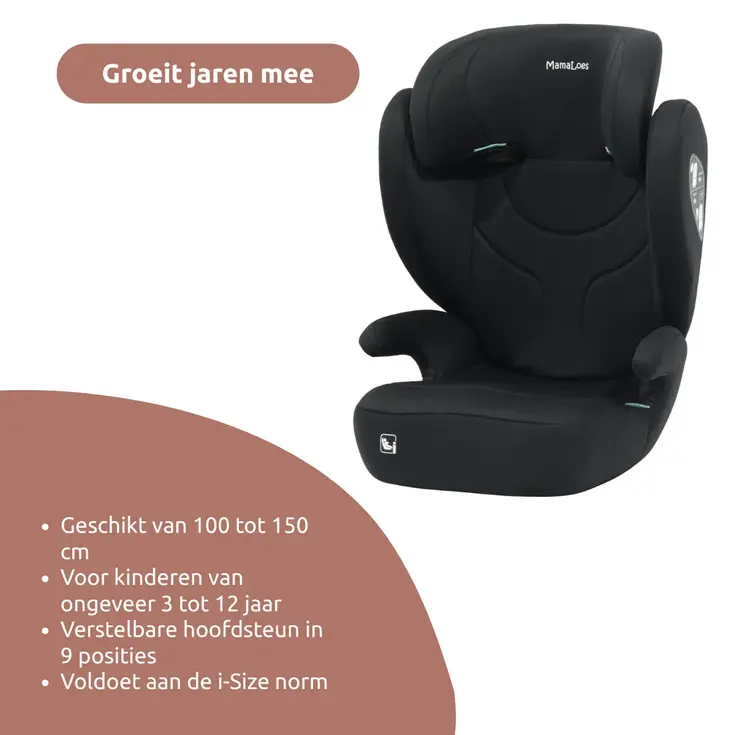 Rio 100-150 cm i-Size Autostoel