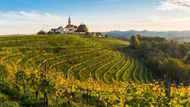 slovenie_ormoz-drava_svetinje_wijngaard_kerk_glooiend-landschap_zonsondergang_getty-933175108