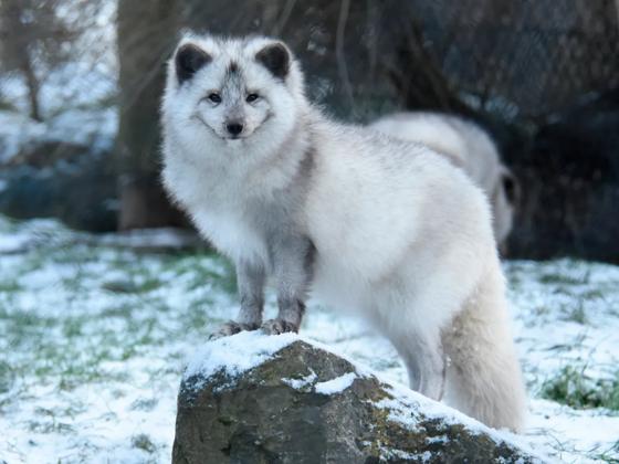 Impressie van Diergaarde Blijdorp