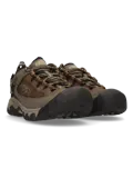 Targhee III - Wandelschoenen - Heren