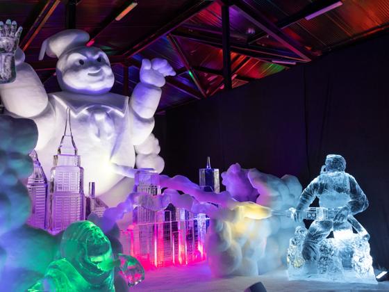 Impressie van Nederlands IJsbeelden Festival