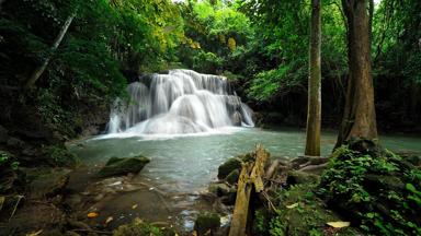 thailand_kanchanaburi_nationaal-park-erawan_erawan-waterval_jungle_shutterstock