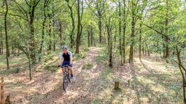 Vakantiepark_Nederland_Dwingeloo_Drenthe_ RCN De Noordster_vakantiepark natuur_H