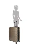 Rochester - Grote koffer - 75cm - 112L