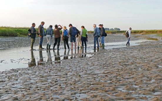 Nieuwe mogelijkheden voor recreatie in de natuur op Tholen verlagen druk op kustgebieden